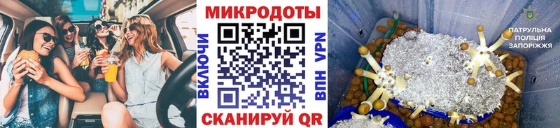 Галлюциногенные грибы прущие грибы  Арск 